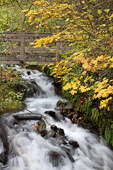 Image showing Wooden Bridge over Wahkeena Creek Falls