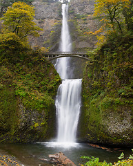 Image showing Multnomah Falls at Columbia River Gorge Oregon