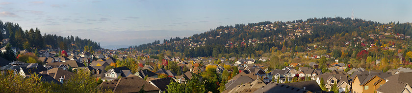 Image showing Residential Homes in Suburban North America