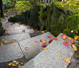 Image showing Garden Path Granite Stone Steps