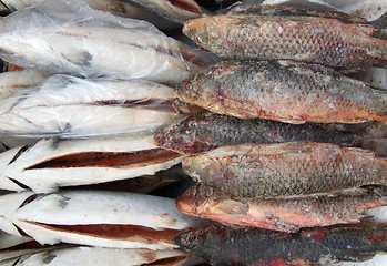 Image showing frozen fish