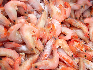 Image showing frozen shrimps