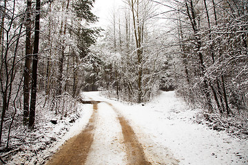 Image showing Road in the winter