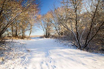 Image showing Winter in wood