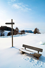 Image showing Wooden Winter bench with mark trial