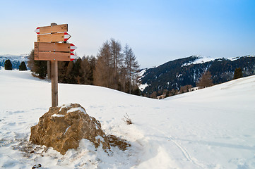 Image showing Trail mark in winter