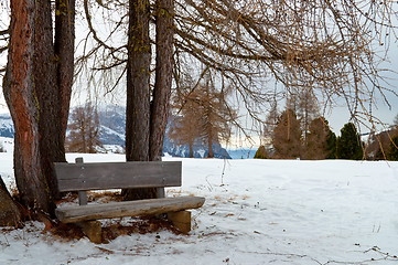 Image showing Isolated wooden bench with trees in winter