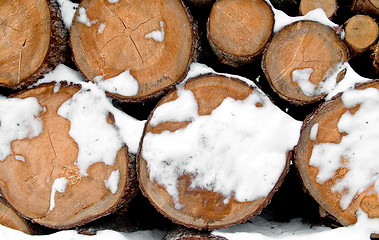 Image showing Log stack lumber with snow