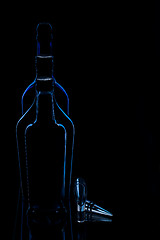 Image showing Shape of a bottles with bottle plug