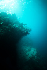 Image showing Edge of the deep