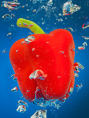 Image showing cayenne underwater with air bubbles