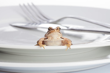 Image showing Frog and diner