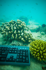 Image showing Internet under the sea