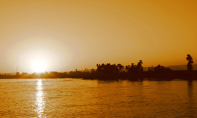 Image showing Palms in the sunset