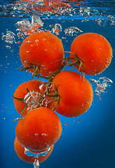 Image showing Bunch of tomatoes underwater