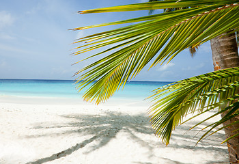 Image showing Maldives beach background