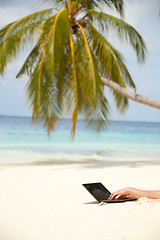 Image showing Browsing internet from the beach