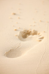 Image showing Footstep in the sand