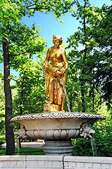 Image showing Peterhof.  Fountain Danaida.