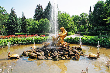 Image showing Peterhof.  Fountain Triton.