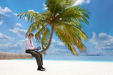 Image showing Manager with tablet pc sitting on palm tree