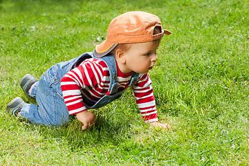 Image showing Toddler crawling in the garden