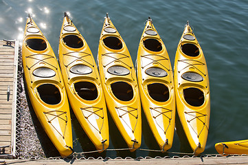 Image showing Sea kayaking