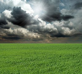 Image showing green grass and blue cloudly sky