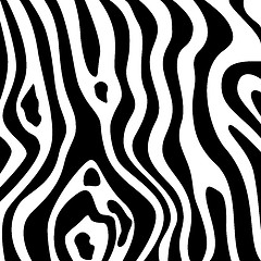 Image showing Zebra texture black and white