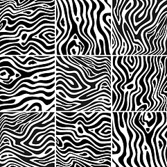 Image showing Set zebra texture black and white