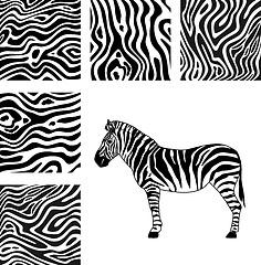 Image showing Zebra, texture of zebra