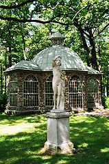Image showing Peterhof. Statue.