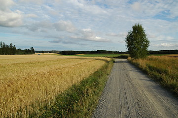 Image showing Country road