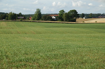 Image showing rural landscape