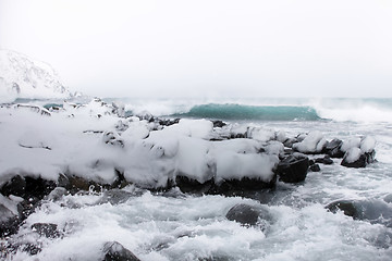 Image showing snow and ice around ocean