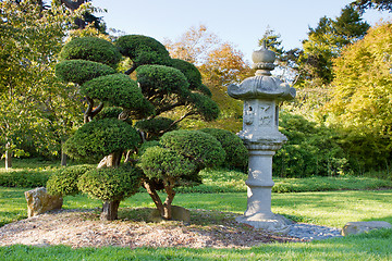 Image showing Stone Lantern and Pruned Bonsai Tree at Japanese Garden