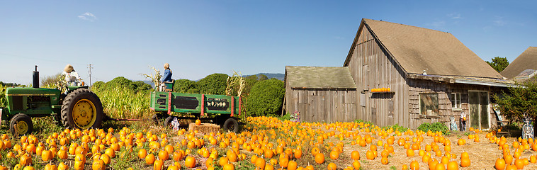 Image showing Pumpkin Patch Farm House with Halloween Decoration