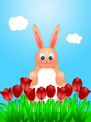 Image showing Happy Easter Bunny Rabbit on Field of Tulips Flowers