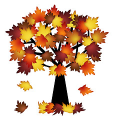 Image showing Colorful Fall Leaves on Tree