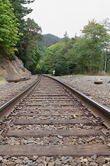 Image showing Railroad Tracks Vertical