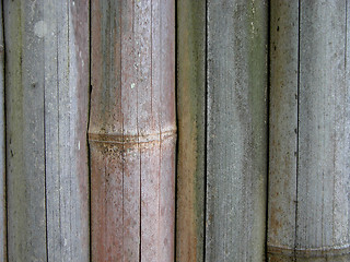 Image showing Bamboo Fence