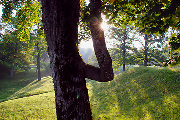 Image showing Morning light