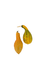 Image showing Decorative pumpkins 