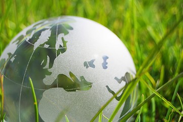 Image showing glass globe or earth in grass