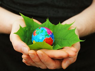 Image showing hand holding globe