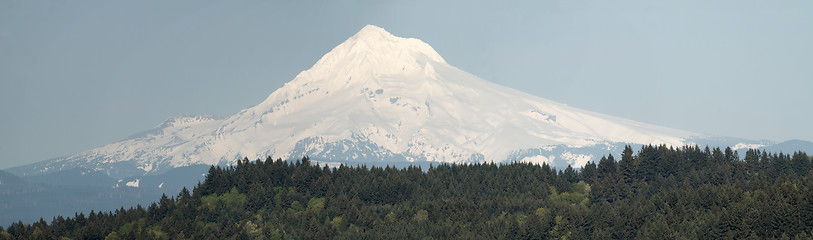 Image showing Mount Hood and Trees Panorama