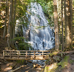 Image showing Ramona Falls by the Wooden Bridge in Oregon