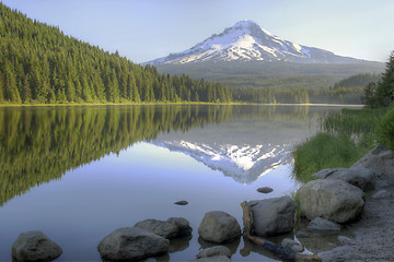 Image showing Mount Hood Reflection on Trillium Lake