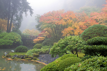 Image showing Foggy Morning at Japanese Garden by the Pond