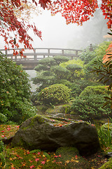 Image showing Rock and Bridge at Japanese Garden